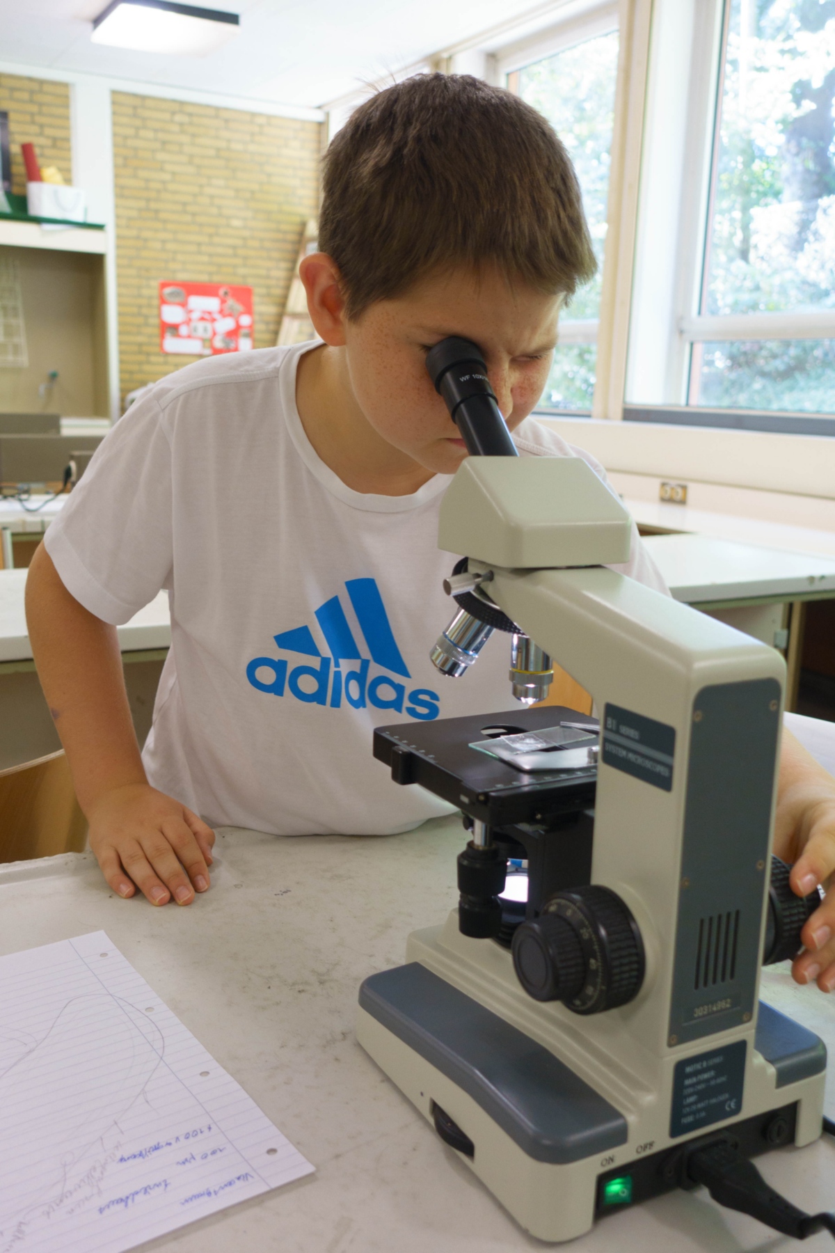 2018-06-27_Mikroskop_Suitbertus_05988 (c) T. Brüning