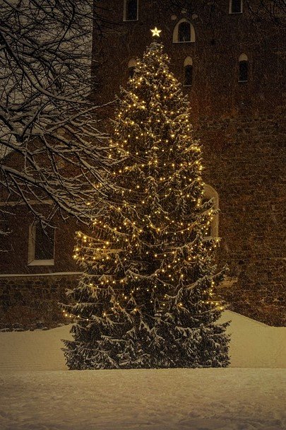 christmas-tree-6895765_960_720_2 (c) Pixabay